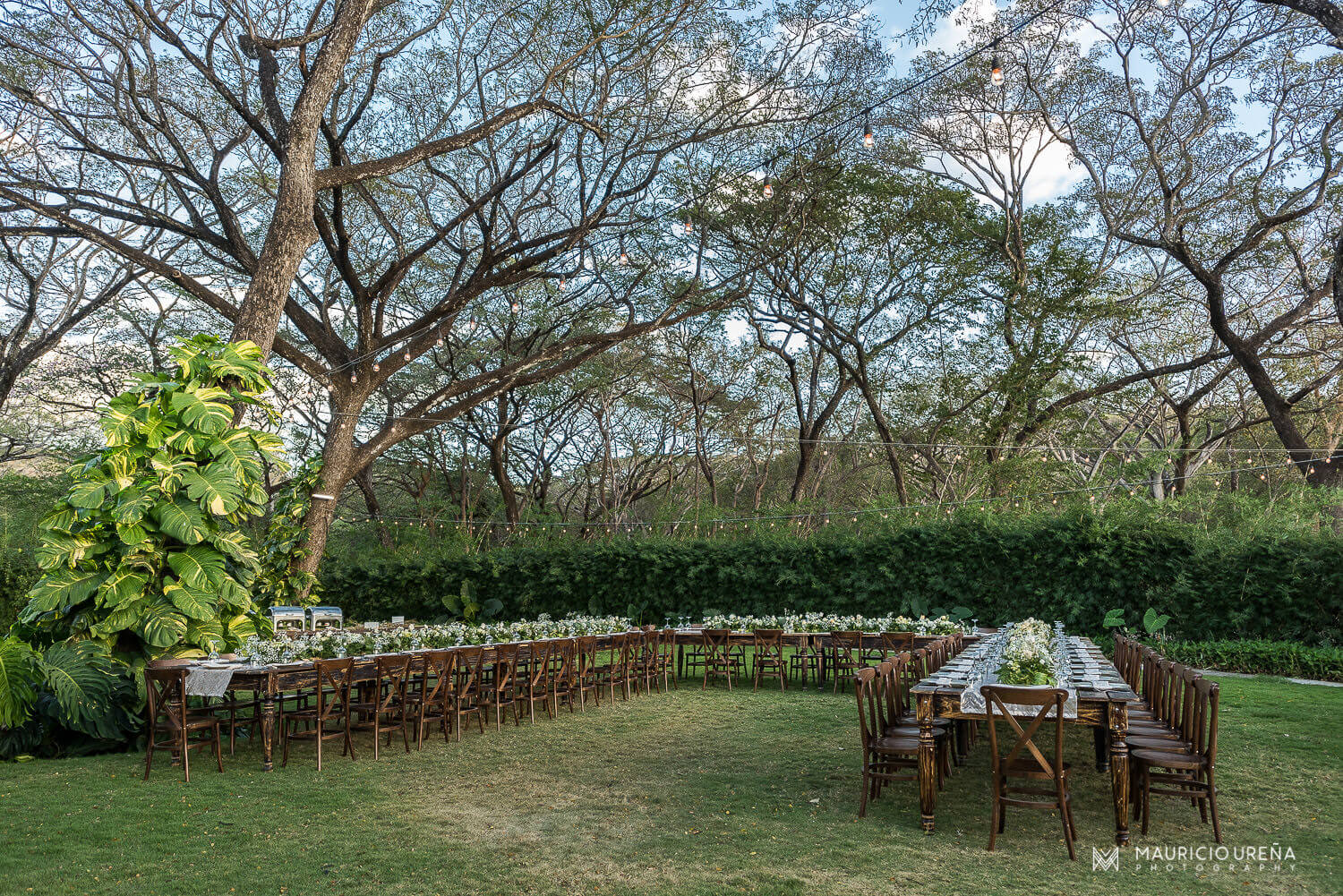 El Mangroove Beach Wedding Venue Decoration Garden Reception